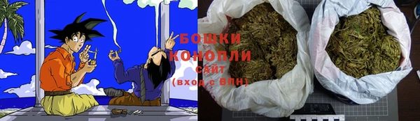 ПСИЛОЦИБИНОВЫЕ ГРИБЫ Лихославль