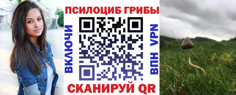 гидра tor  Урень  Галлюциногенные грибы GOLDEN TEACHER 